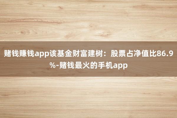 赌钱赚钱app该基金财富建树：股票占净值比86.9%-赌钱最火的手机app