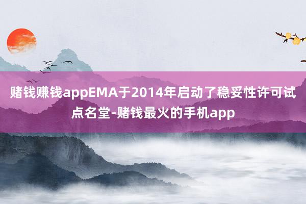 赌钱赚钱appEMA于2014年启动了稳妥性许可试点名堂-赌钱最火的手机app