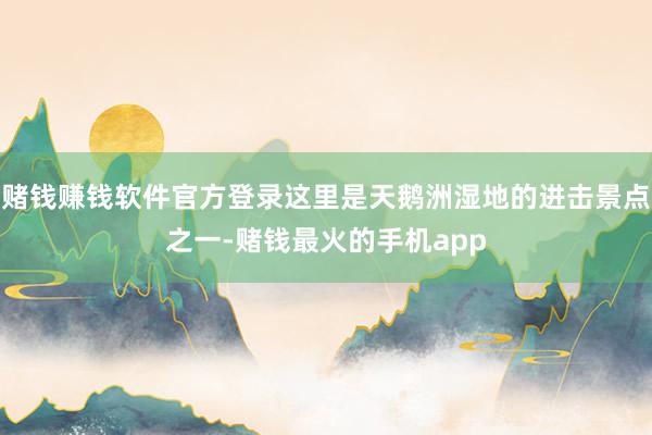 赌钱赚钱软件官方登录这里是天鹅洲湿地的进击景点之一-赌钱最火的手机app