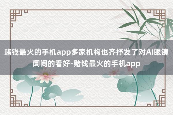 赌钱最火的手机app多家机构也齐抒发了对AI眼镜阛阓的看好-赌钱最火的手机app