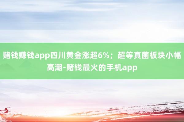 赌钱赚钱app四川黄金涨超6%；超等真菌板块小幅高潮-赌钱最火的手机app