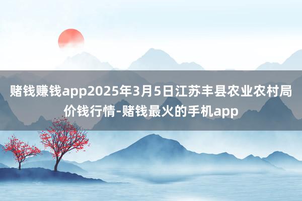 赌钱赚钱app2025年3月5日江苏丰县农业农村局价钱行情-赌钱最火的手机app
