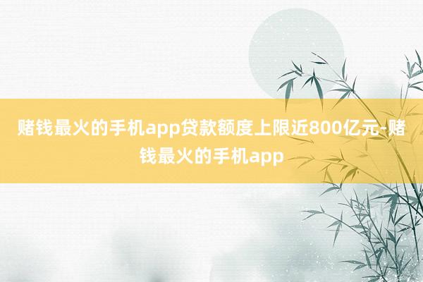 赌钱最火的手机app贷款额度上限近800亿元-赌钱最火的手机app