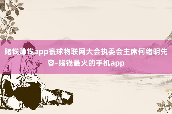 赌钱赚钱app寰球物联网大会执委会主席何绪明先容-赌钱最火的手机app