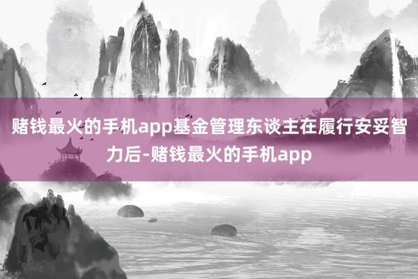 赌钱最火的手机app基金管理东谈主在履行安妥智力后-赌钱最火的手机app