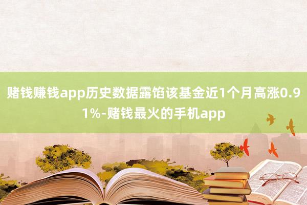 赌钱赚钱app历史数据露馅该基金近1个月高涨0.91%-赌钱最火的手机app
