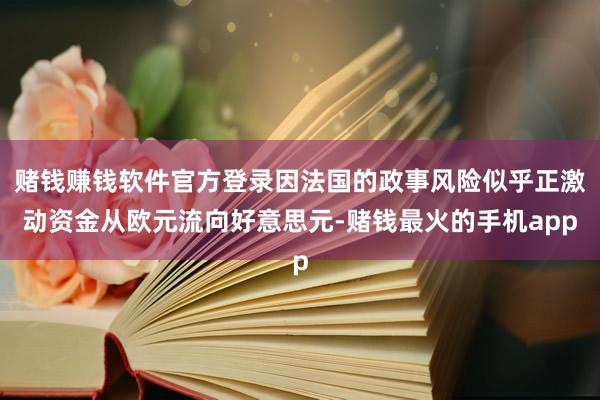 赌钱赚钱软件官方登录因法国的政事风险似乎正激动资金从欧元流向好意思元-赌钱最火的手机app
