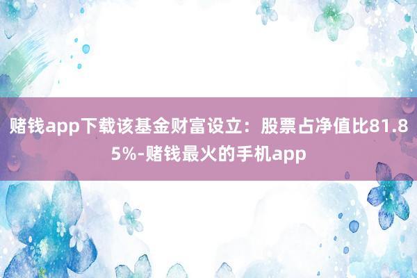 赌钱app下载该基金财富设立：股票占净值比81.85%-赌钱最火的手机app