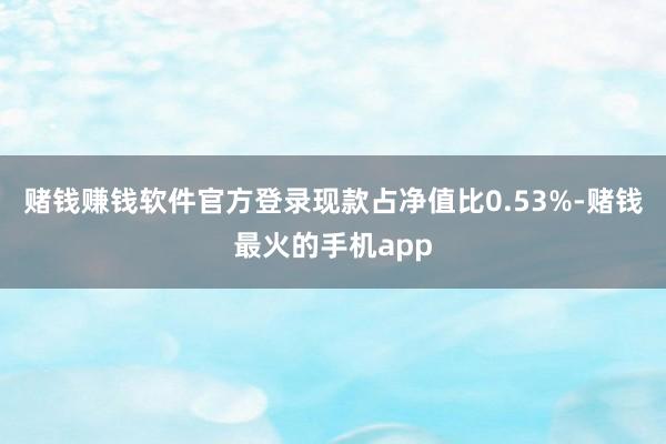 赌钱赚钱软件官方登录现款占净值比0.53%-赌钱最火的手机app
