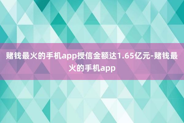 赌钱最火的手机app授信金额达1.65亿元-赌钱最火的手机app