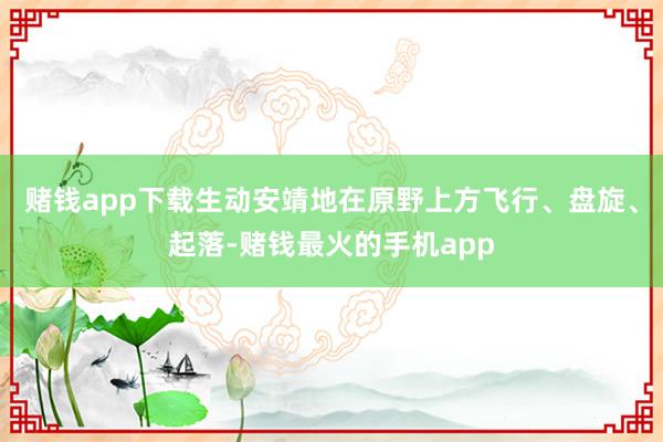 赌钱app下载生动安靖地在原野上方飞行、盘旋、起落-赌钱最火的手机app