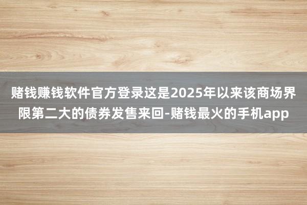 赌钱赚钱软件官方登录这是2025年以来该商场界限第二大的债券发售来回-赌钱最火的手机app