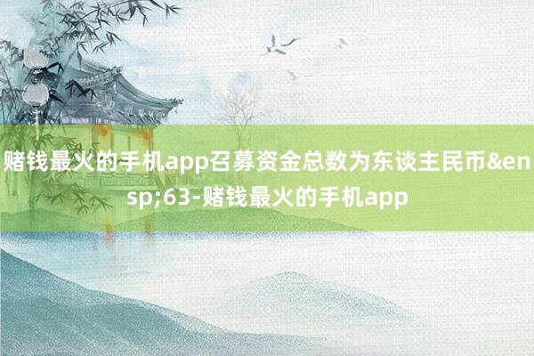 赌钱最火的手机app召募资金总数为东谈主民币&ensp;63-赌钱最火的手机app